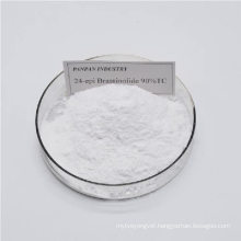 Enhance the Resistance Brassinolide Soluble Powder, Brassinolide 0.01 Dosage